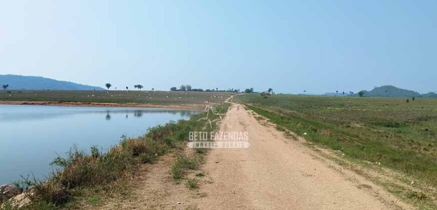 Fazenda à Venda 34.848 hectares Dupla Aptidão com Pista de Pouso | Sul do Pará