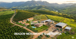 Fazenda Premium à Venda 49 hectares Estrutura Completa Cafe | Carmo da Cachoeira/MG