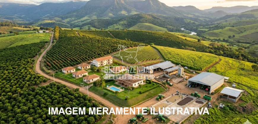 Fazenda Premium à Venda 49 hectares Estrutura Completa Cafe | Carmo da Cachoeira/MG