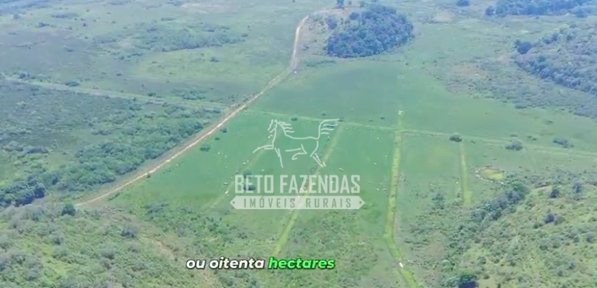 Fazenda à Venda 474 Has às Margens da Rodovia Empreendimentos, Pecuária e Lavoura | Magé/RJ