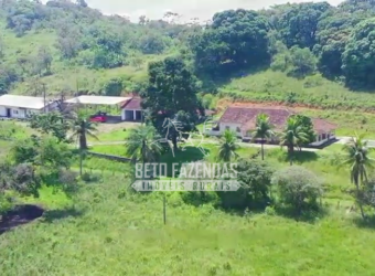 Fazenda à Venda 474 Has às Margens da Rodovia Empreendimentos, Pecuária e Lavoura | Magé/RJ