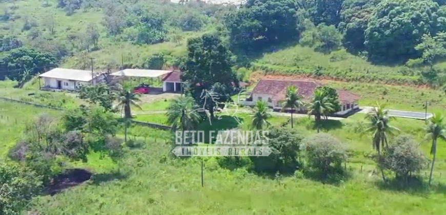 Fazenda à Venda 474 Has às Margens da Rodovia Empreendimentos, Pecuária e Lavoura | Magé/RJ