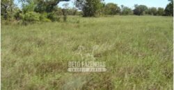 Fazenda à Venda 36.723 Has Aptidão para Pecuária e Grãos | Luciára / MT