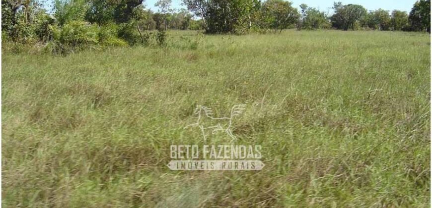 Fazenda à Venda 36.723 Has Aptidão para Pecuária e Grãos | Luciára / MT