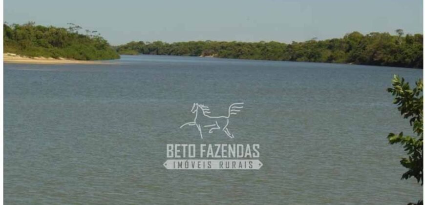 Fazenda à Venda 36.723 Has Aptidão para Pecuária e Grãos | Luciára / MT