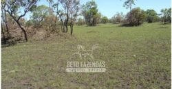 Fazenda à Venda 36.723 Has Aptidão para Pecuária e Grãos | Luciára / MT