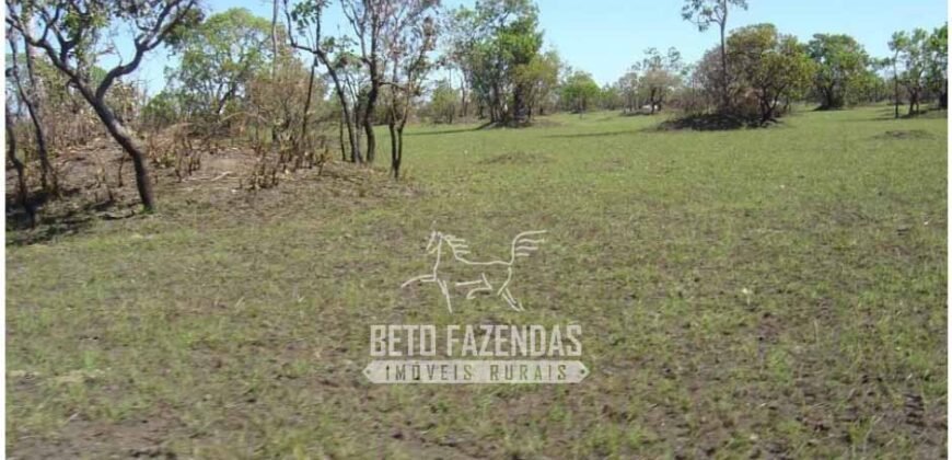 Fazenda à Venda 36.723 Has Aptidão para Pecuária e Grãos | Luciára / MT