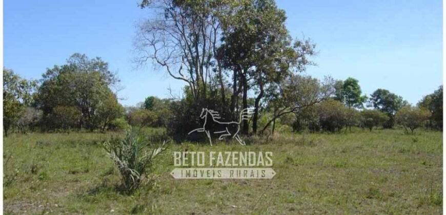 Fazenda à Venda 36.723 Has Aptidão para Pecuária e Grãos | Luciára / MT
