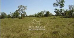 Fazenda à Venda 36.723 Has Aptidão para Pecuária e Grãos | Luciára / MT