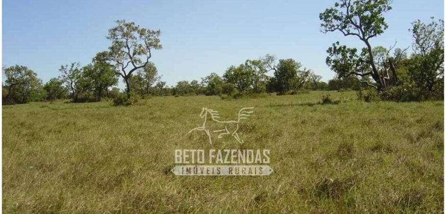 Fazenda à Venda 36.723 Has Aptidão para Pecuária e Grãos | Luciára / MT