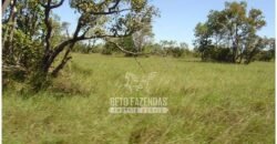 Fazenda à Venda 36.723 Has Aptidão para Pecuária e Grãos | Luciára / MT