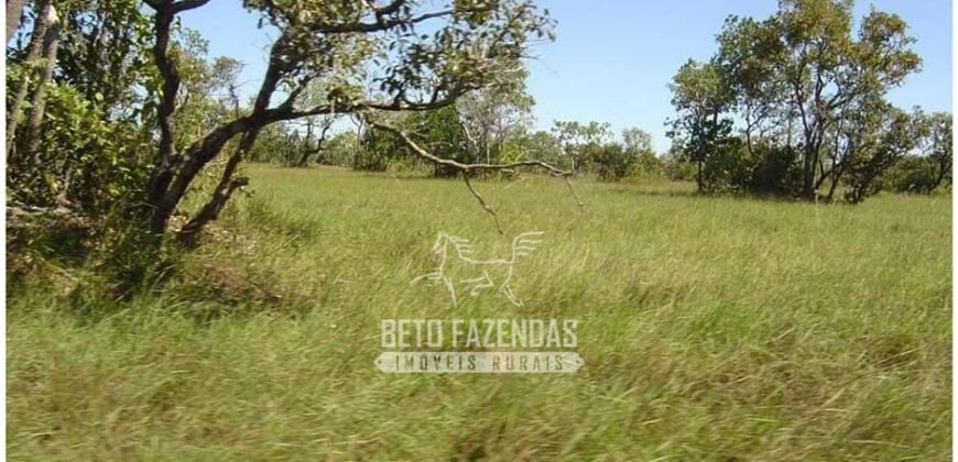 Fazenda à Venda 36.723 Has Aptidão para Pecuária e Grãos | Luciára / MT