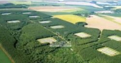 Frigorífico de Aves à Venda Complexo Industrial Avícola no Paraná