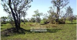 Fazenda à Venda 36.723 Has Aptidão para Pecuária e Grãos | Luciára / MT