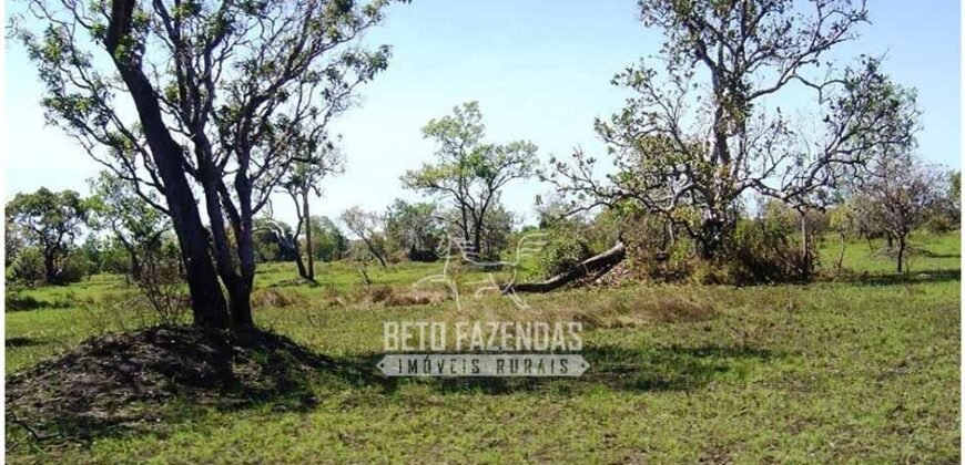 Fazenda à Venda 36.723 Has Aptidão para Pecuária e Grãos | Luciára / MT