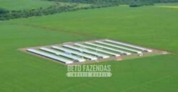 Frigorífico de Aves à Venda Complexo Industrial Avícola no Paraná