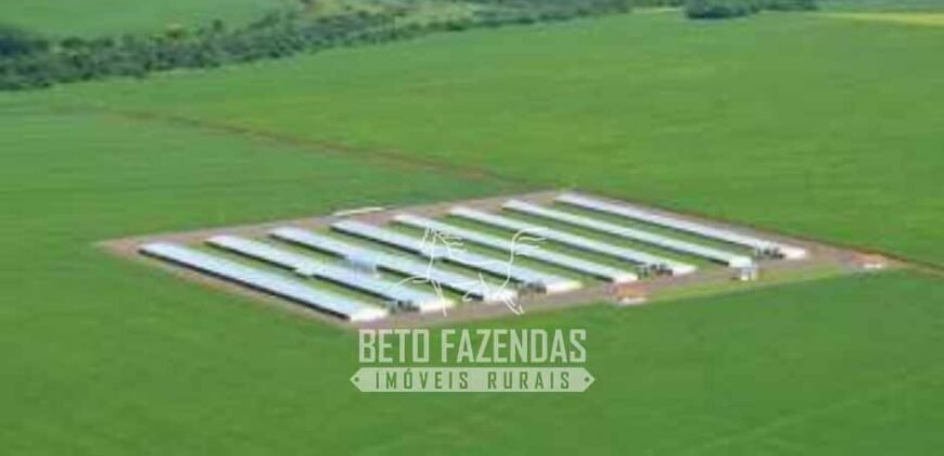 Frigorífico de Aves à Venda Complexo Industrial Avícola no Paraná