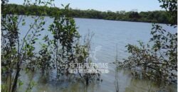 Fazenda à Venda 36.723 Has Aptidão para Pecuária e Grãos | Luciára / MT