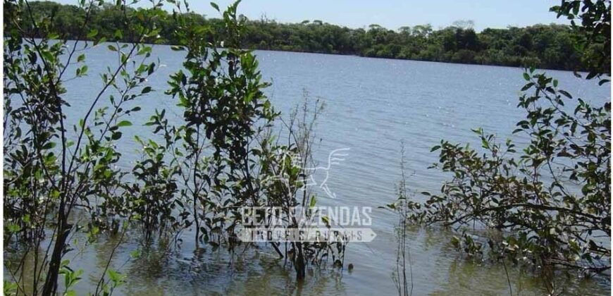 Fazenda à Venda 36.723 Has Aptidão para Pecuária e Grãos | Luciára / MT
