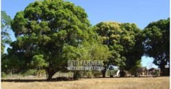 Fazenda à Venda 36.723 Has Aptidão para Pecuária e Grãos | Luciára / MT