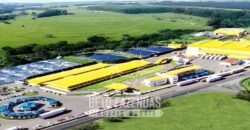Frigorífico de Aves à Venda Complexo Industrial Avícola no Paraná