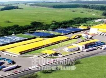 Frigorífico de Aves à Venda Complexo Industrial Avícola no Paraná