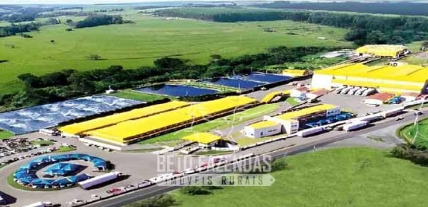 Frigorífico de Aves à Venda Complexo Industrial Avícola no Paraná