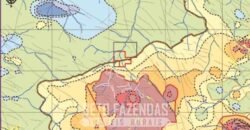 Mineradora de Ouro à Venda 15.000 hectares Reserva Comprovada no Estado do Pará
