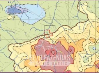 Mineradora de Ouro à Venda 15.000 hectares Reserva Comprovada no Estado do Pará