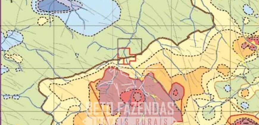 Mineradora de Ouro à Venda 15.000 hectares Reserva Comprovada no Estado do Pará