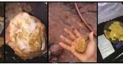 Mineradora de Ouro à Venda 15.000 hectares Reserva Comprovada no Estado do Pará