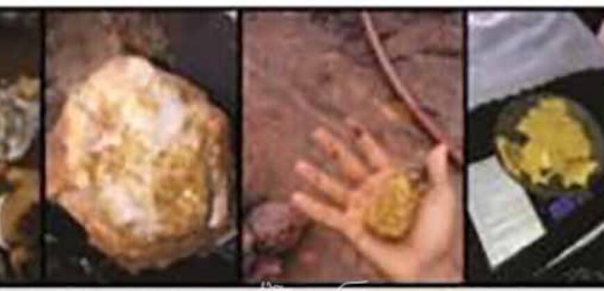 Mineradora de Ouro à Venda 15.000 hectares Reserva Comprovada no Estado do Pará