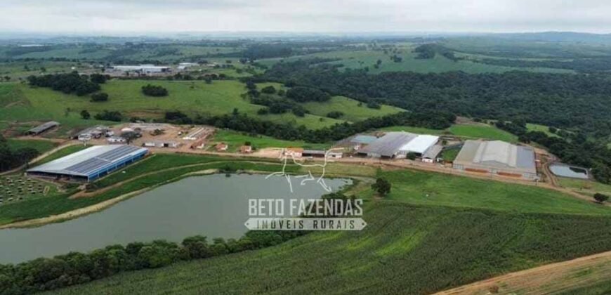 Laticínio â Venda 244 Alqueires com Lavoura de Grãos e Pecuária | Itapetininga/ SP