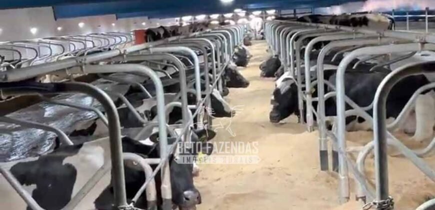 Laticínio â Venda 244 Alqueires com Lavoura de Grãos e Pecuária | Itapetininga/ SP