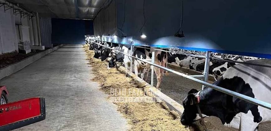 Laticínio â Venda 244 Alqueires com Lavoura de Grãos e Pecuária | Itapetininga/ SP