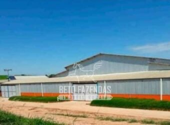 Laticínio â Venda 244 Alqueires com Lavoura de Grãos e Pecuária | Itapetininga/ SP Laticínio â Venda 244 Alqueires com Lavoura de Grãos e Pecuária | Itapetininga/ SP
