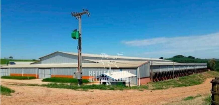 Laticínio â Venda 244 Alqueires com Lavoura de Grãos e Pecuária | Itapetininga/ SP