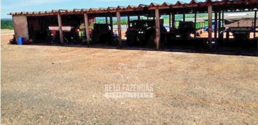 Laticínio â Venda 244 Alqueires com Lavoura de Grãos e Pecuária | Itapetininga/ SP
