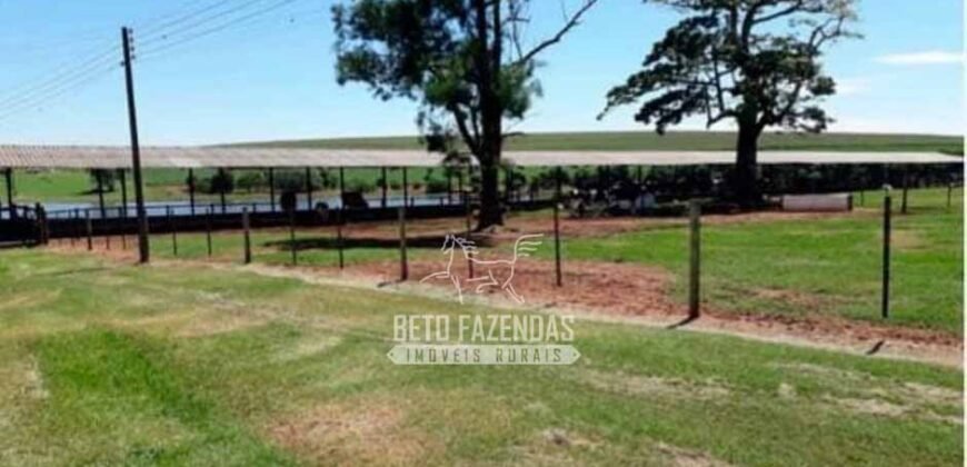 Laticínio â Venda 244 Alqueires com Lavoura de Grãos e Pecuária | Itapetininga/ SP
