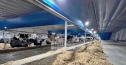 Laticínio â Venda 244 Alqueires com Lavoura de Grãos e Pecuária | Itapetininga/ SP