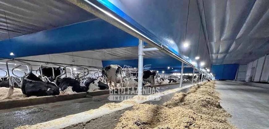 Laticínio â Venda 244 Alqueires com Lavoura de Grãos e Pecuária | Itapetininga/ SP