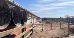 Laticínio â Venda 244 Alqueires com Lavoura de Grãos e Pecuária | Itapetininga/ SP