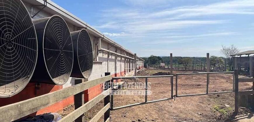 Laticínio â Venda 244 Alqueires com Lavoura de Grãos e Pecuária | Itapetininga/ SP