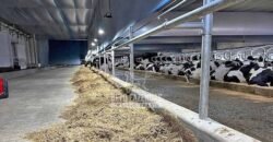 Laticínio â Venda 244 Alqueires com Lavoura de Grãos e Pecuária | Itapetininga/ SP