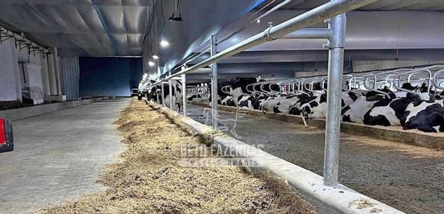 Laticínio â Venda 244 Alqueires com Lavoura de Grãos e Pecuária | Itapetininga/ SP