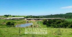 Laticínio â Venda 244 Alqueires com Lavoura de Grãos e Pecuária | Itapetininga/ SP