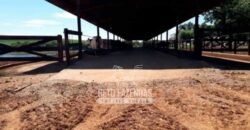 Laticínio â Venda 244 Alqueires com Lavoura de Grãos e Pecuária | Itapetininga/ SP