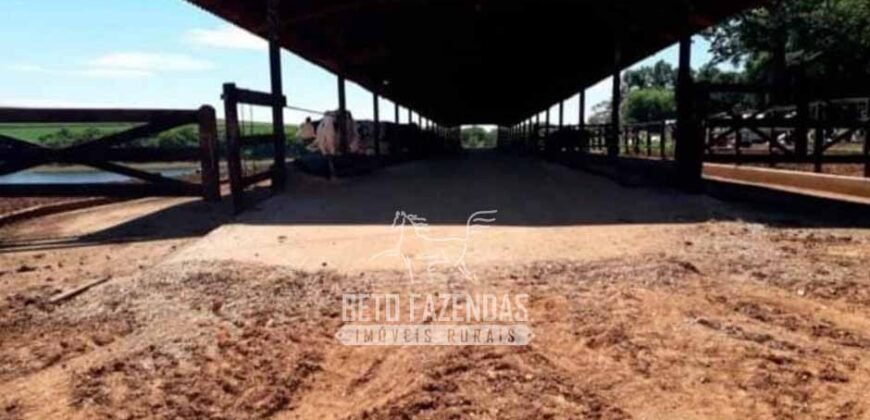 Laticínio â Venda 244 Alqueires com Lavoura de Grãos e Pecuária | Itapetininga/ SP