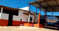 Laticínio â Venda 244 Alqueires com Lavoura de Grãos e Pecuária | Itapetininga/ SP