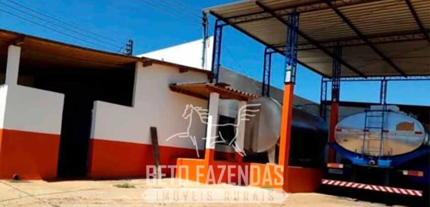 Laticínio â Venda 244 Alqueires com Lavoura de Grãos e Pecuária | Itapetininga/ SP